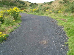 Image on trail